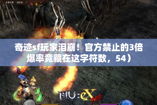 奇迹sf玩家泪崩！官方禁止的3倍爆率竟藏在这字符数，54）