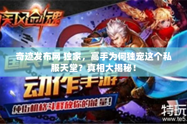 奇迹发布网 独家，高手为何独宠这个私服天堂？真相大揭秘！