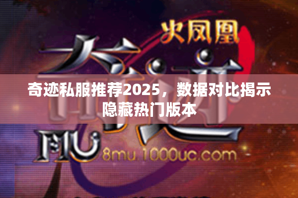奇迹私服推荐2025，数据对比揭示隐藏热门版本