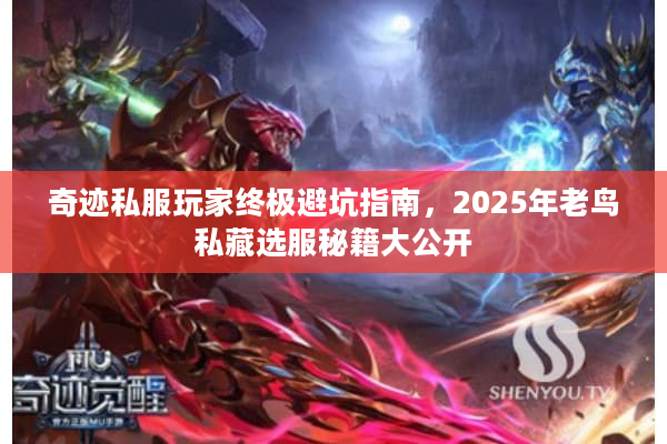 奇迹私服玩家终极避坑指南，2025年老鸟私藏选服秘籍大公开