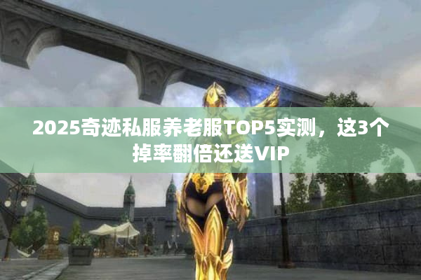 2025奇迹私服养老服TOP5实测，这3个掉率翻倍还送VIP