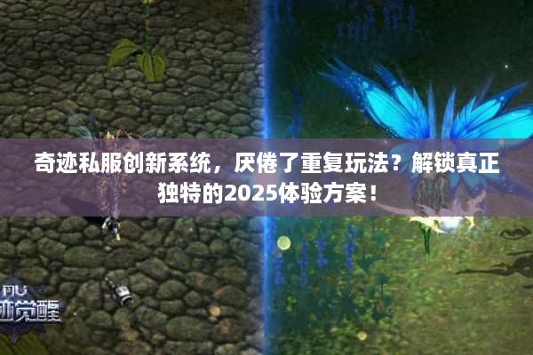奇迹私服创新系统，厌倦了重复玩法？解锁真正独特的2025体验方案！