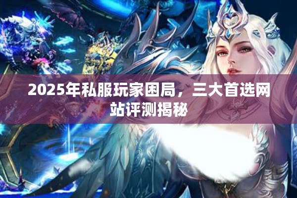 2025年私服玩家困局，三大首选网站评测揭秘