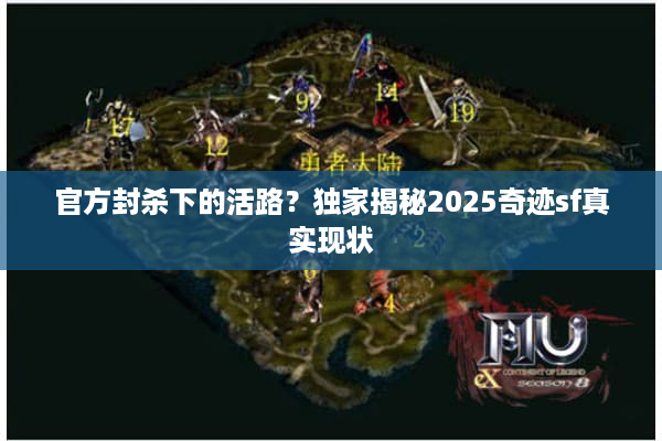官方封杀下的活路？独家揭秘2025奇迹sf真实现状