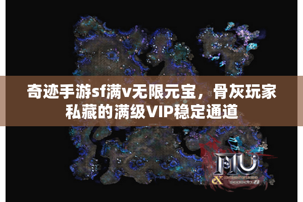 奇迹手游sf满v无限元宝，骨灰玩家私藏的满级VIP稳定通道