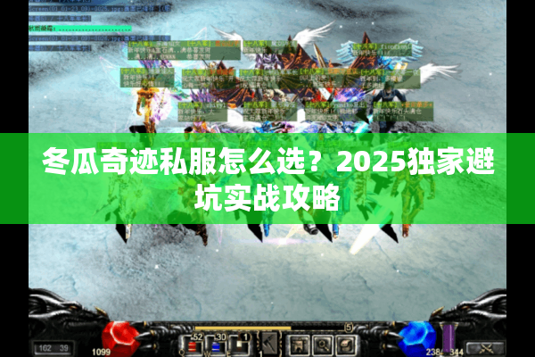 冬瓜奇迹私服怎么选？2025独家避坑实战攻略