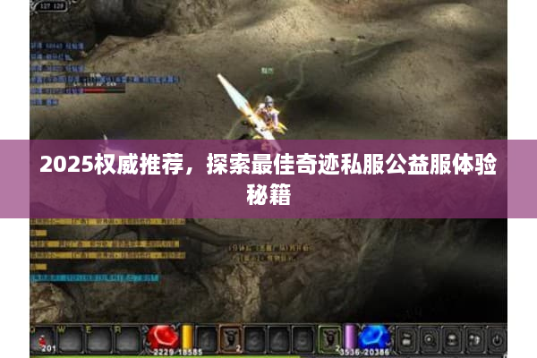 2025权威推荐，探索最佳奇迹私服公益服体验秘籍