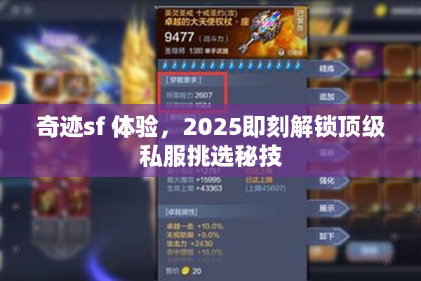 奇迹sf 体验，2025即刻解锁顶级私服挑选秘技