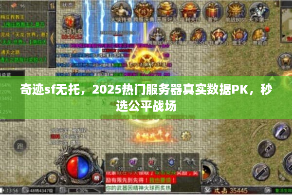 奇迹sf无托，2025热门服务器真实数据PK，秒选公平战场