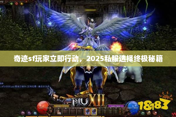 奇迹sf玩家立即行动,2025私服选择终极秘籍 奇迹sf玩家立即行动,2025私服选择终极秘籍