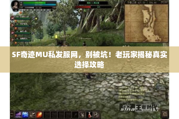 SF奇迹MU私发服网，别被坑！老玩家揭秘真实选择攻略