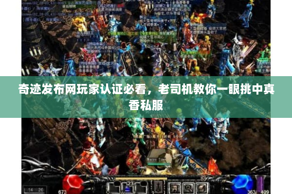 奇迹发布网玩家认证必看,老司机教你一眼挑中真香私服 奇迹发布网玩家认证必看,老司机教你一眼挑中真香私服