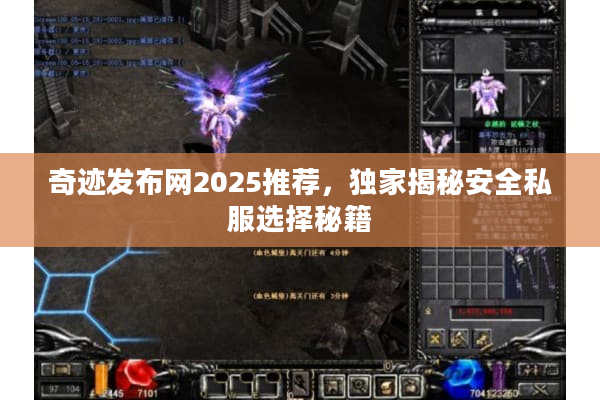 奇迹发布网2025推荐，独家揭秘安全私服选择秘籍