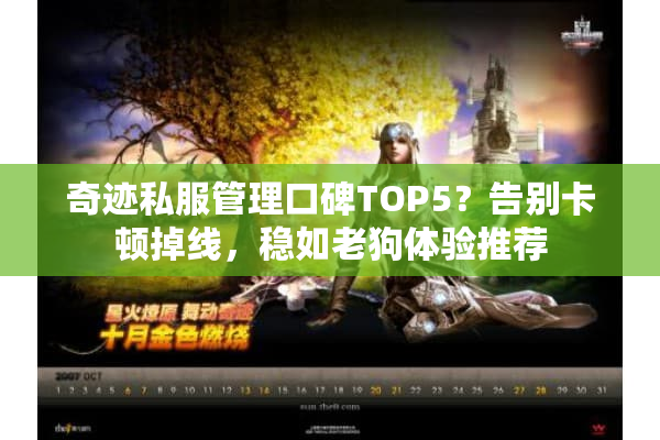 奇迹私服管理口碑TOP5？告别卡顿掉线，稳如老狗体验推荐