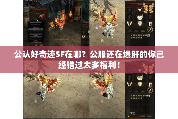 公认好奇迹SF在哪?公服还在爆肝的你已经错过太多福利! 公认好奇迹SF在哪?公服还在爆肝的你已经错过太多福利!