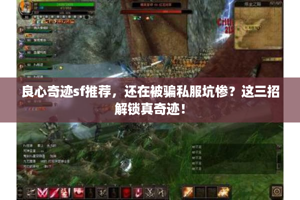 良心奇迹sf推荐，还在被骗私服坑惨？这三招解锁真奇迹！