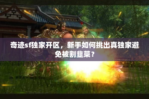 奇迹sf独家开区,新手如何挑出真独家避免被割韭菜? 奇迹sf独家开区,新手如何挑出真独家避免被割韭菜?