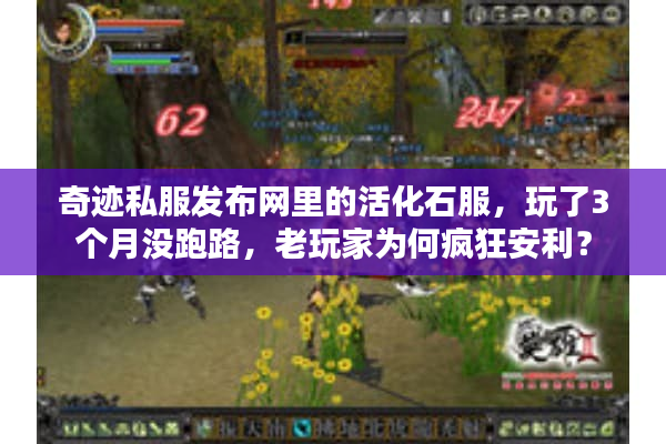 奇迹私服发布网里的活化石服,玩了3个月没跑路,老玩家为何疯狂安利? 奇迹私服发布网里的活化石服,玩了3个月没跑路,老玩家为何疯狂安利?