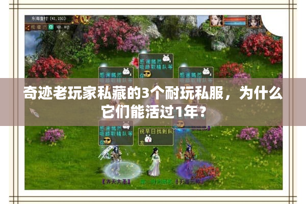 奇迹老玩家私藏的3个耐玩私服，为什么它们能活过1年？
