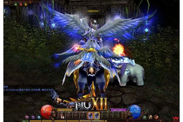 奇迹私服坐骑怎么选？进阶玩家必看的属性培养指南