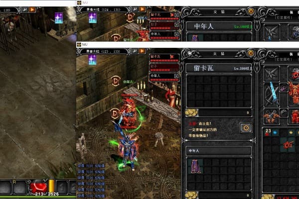 奇迹SF加点皮实战攻略，2025职业属性分配全解析