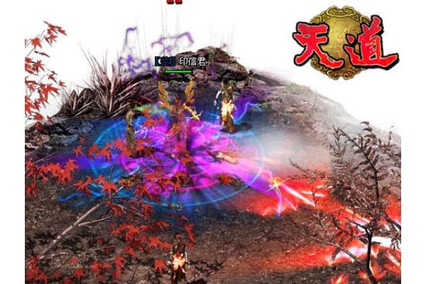 奇迹私服架构搭建全攻略，零基础到高阶优化的终极手册